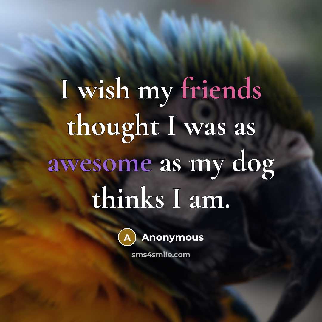 “I wish my friends thought I was as awesome as my dog thinks I am.” quote by Anonymous