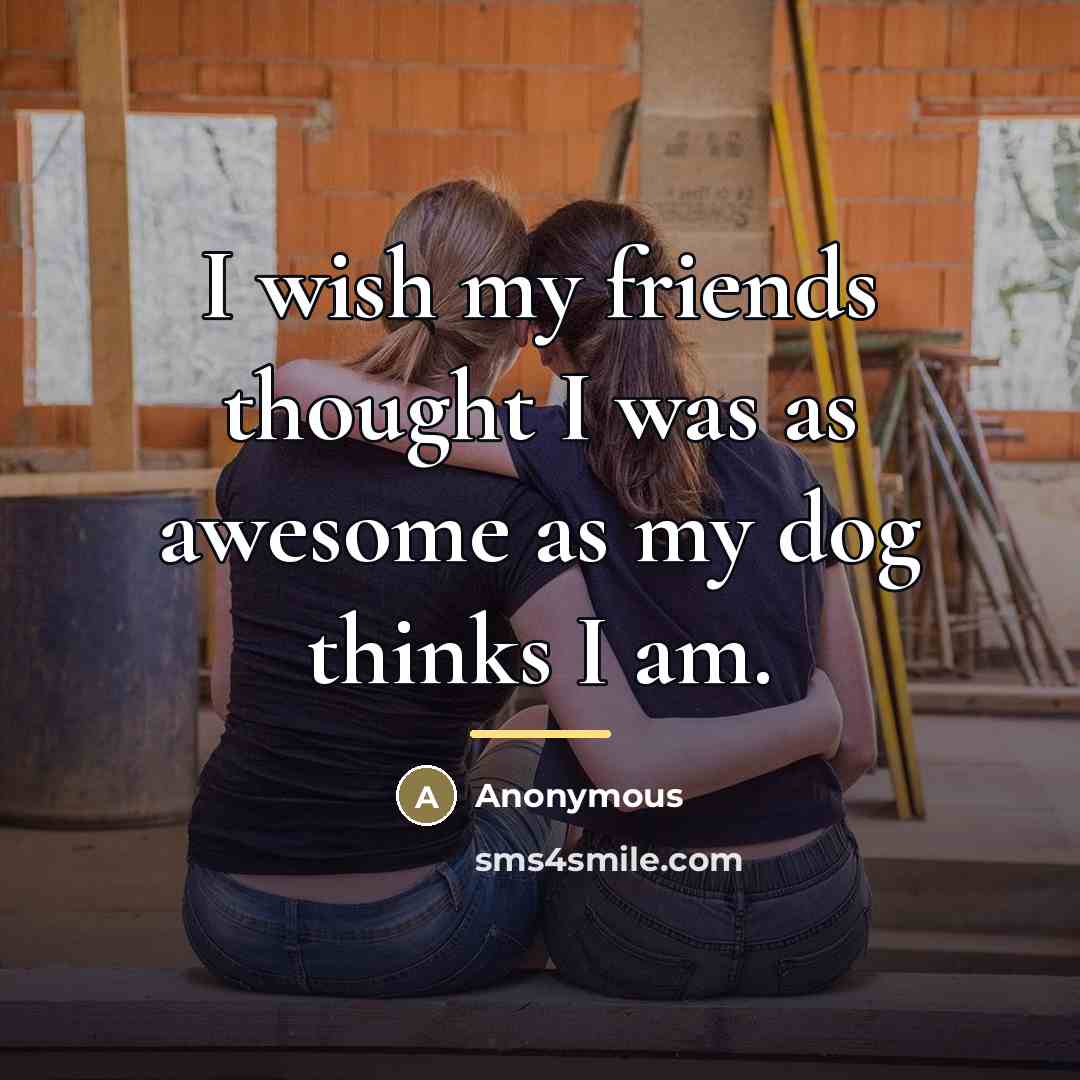 “I wish my friends thought I was as awesome as…” quote by Anonymous