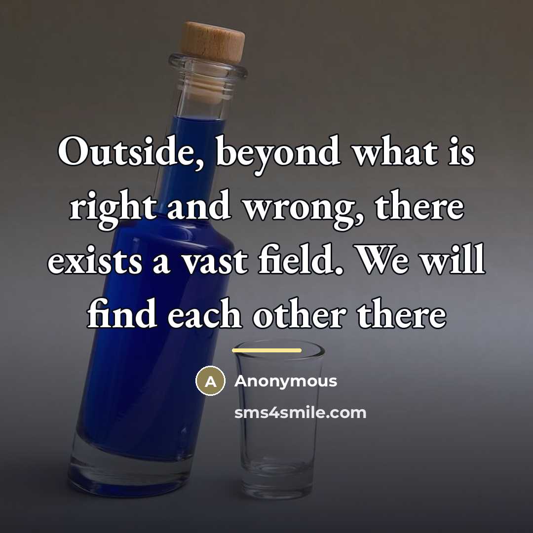 “Outside, beyond what is right and wrong, there exists a…” quote by Anonymous