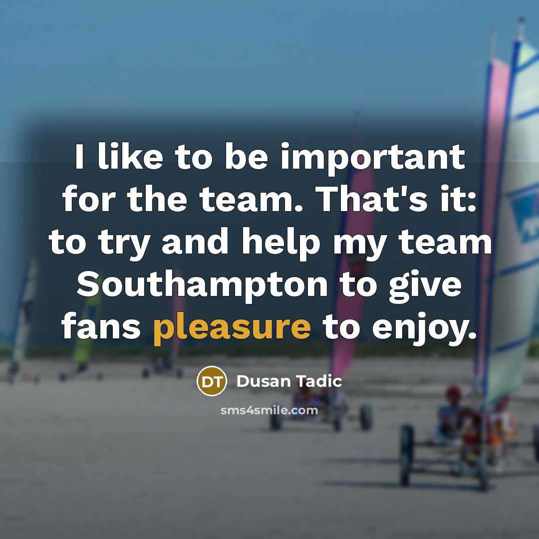 “I like to be important for the team. That's it:…” quote by Dusan Tadic