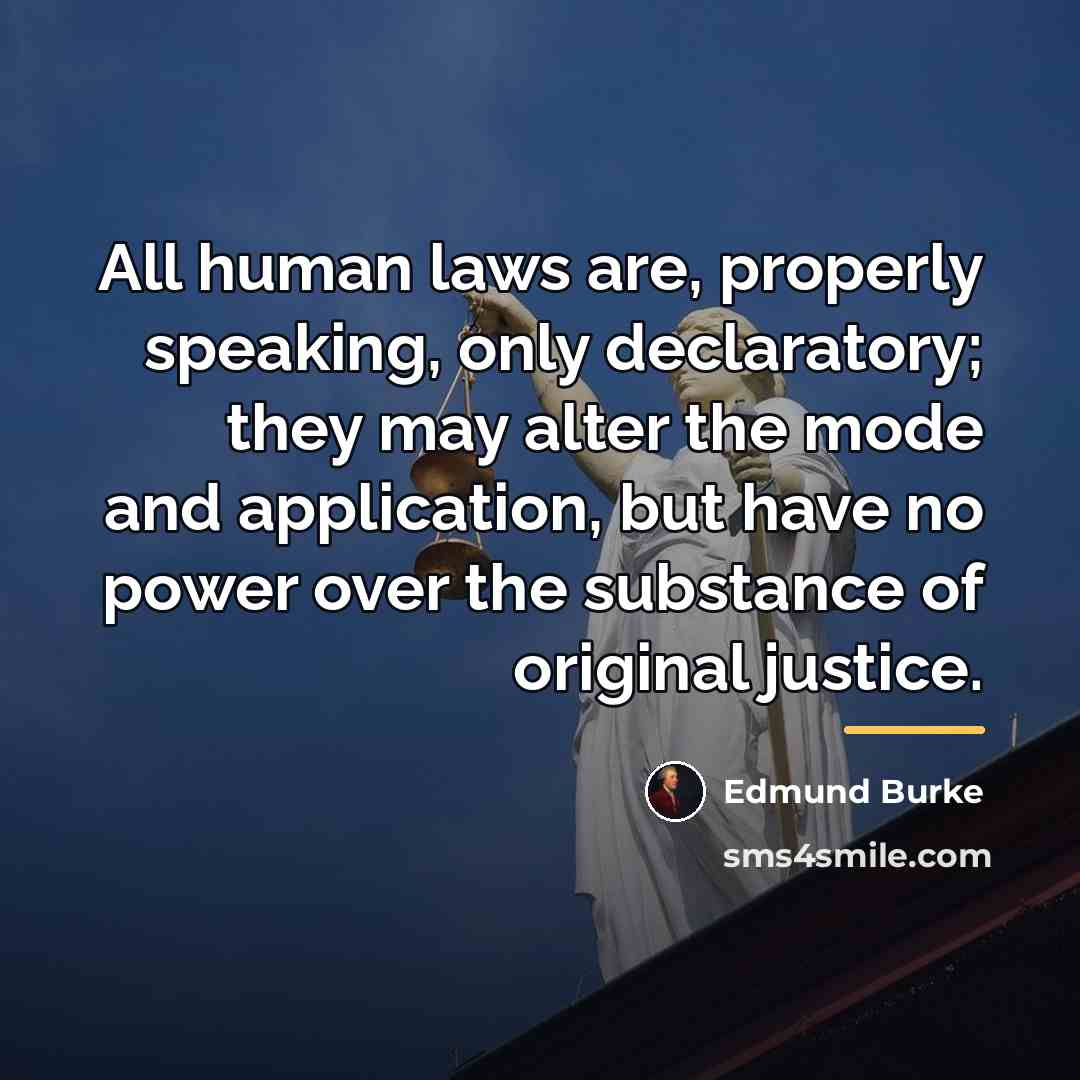 “All human laws are, properly speaking, only declaratory; they may…” quote by Edmund Burke
