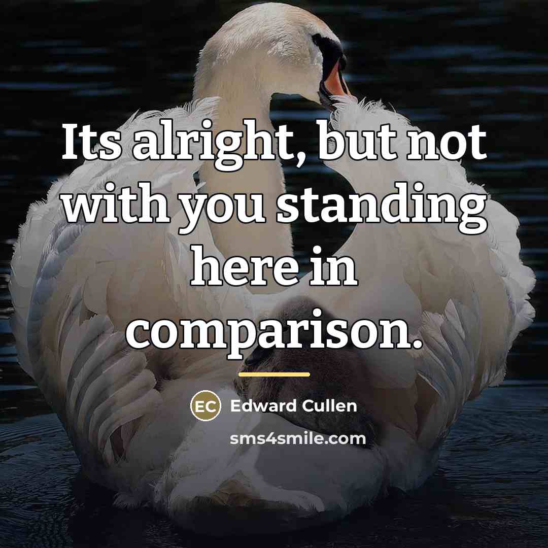 “Its alright, but not with you standing here in comparison.…” quote by Edward Cullen