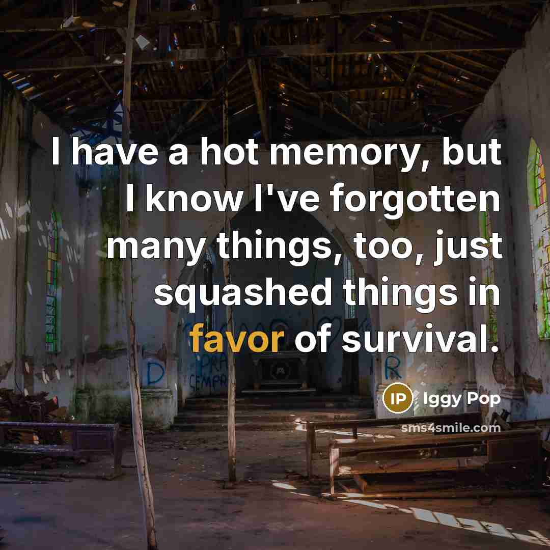 “I have a hot memory, but I know I've forgotten…” quote by Iggy Pop