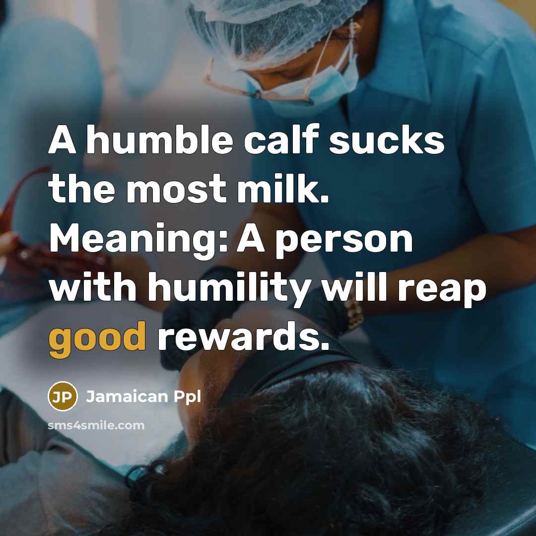 “A humble calf sucks the most milk. Meaning: A person with humility will reap good rewards.” quote by Jamaican Ppl