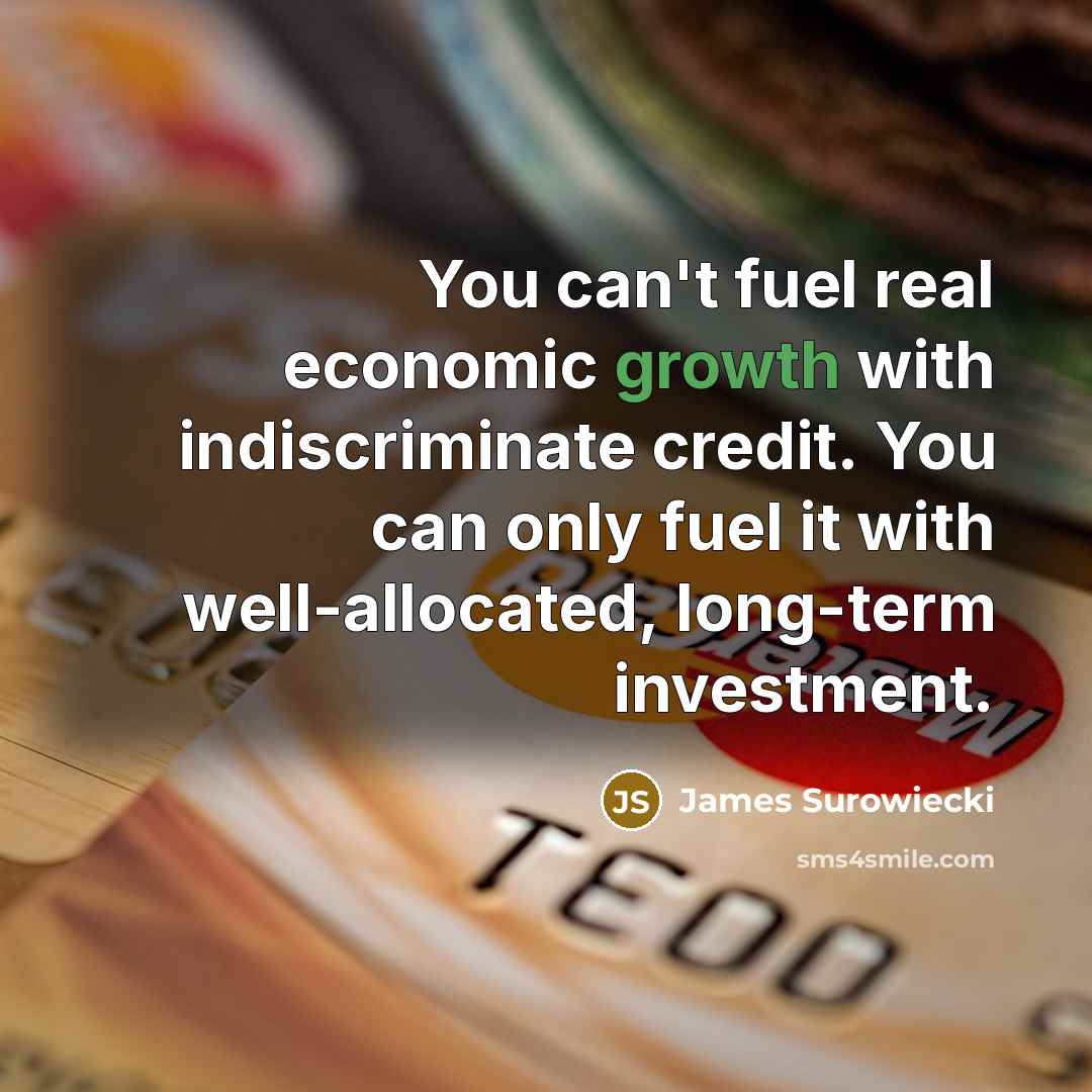 “You can't fuel real economic growth with indiscriminate credit. You…” quote by James Surowiecki