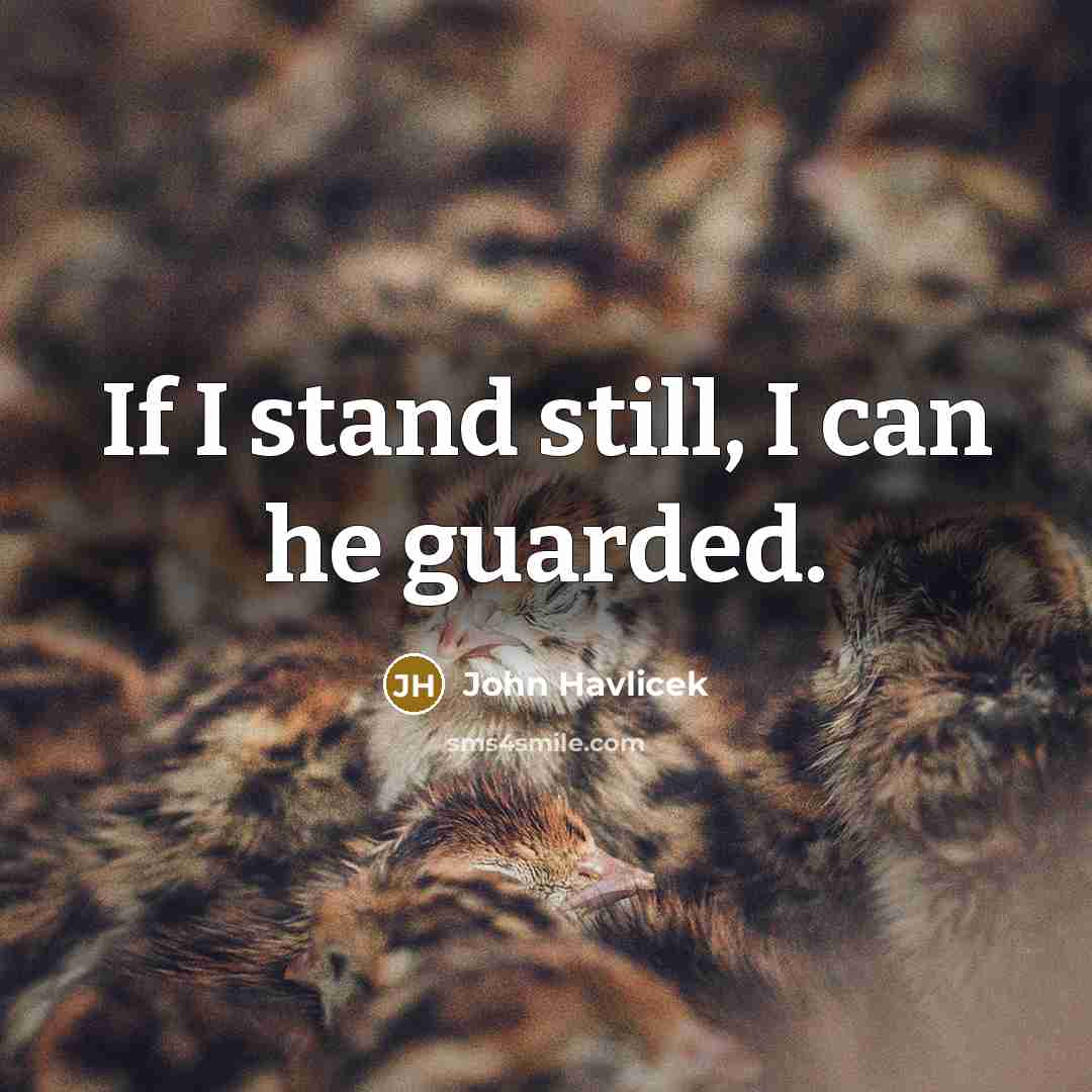 “If I stand still, I can he guarded.…” quote by John Havlicek