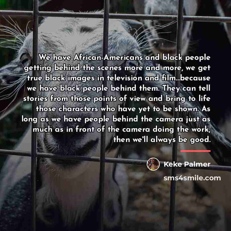 “We have African-Americans and black people getting behind the scenes…” quote by Keke Palmer