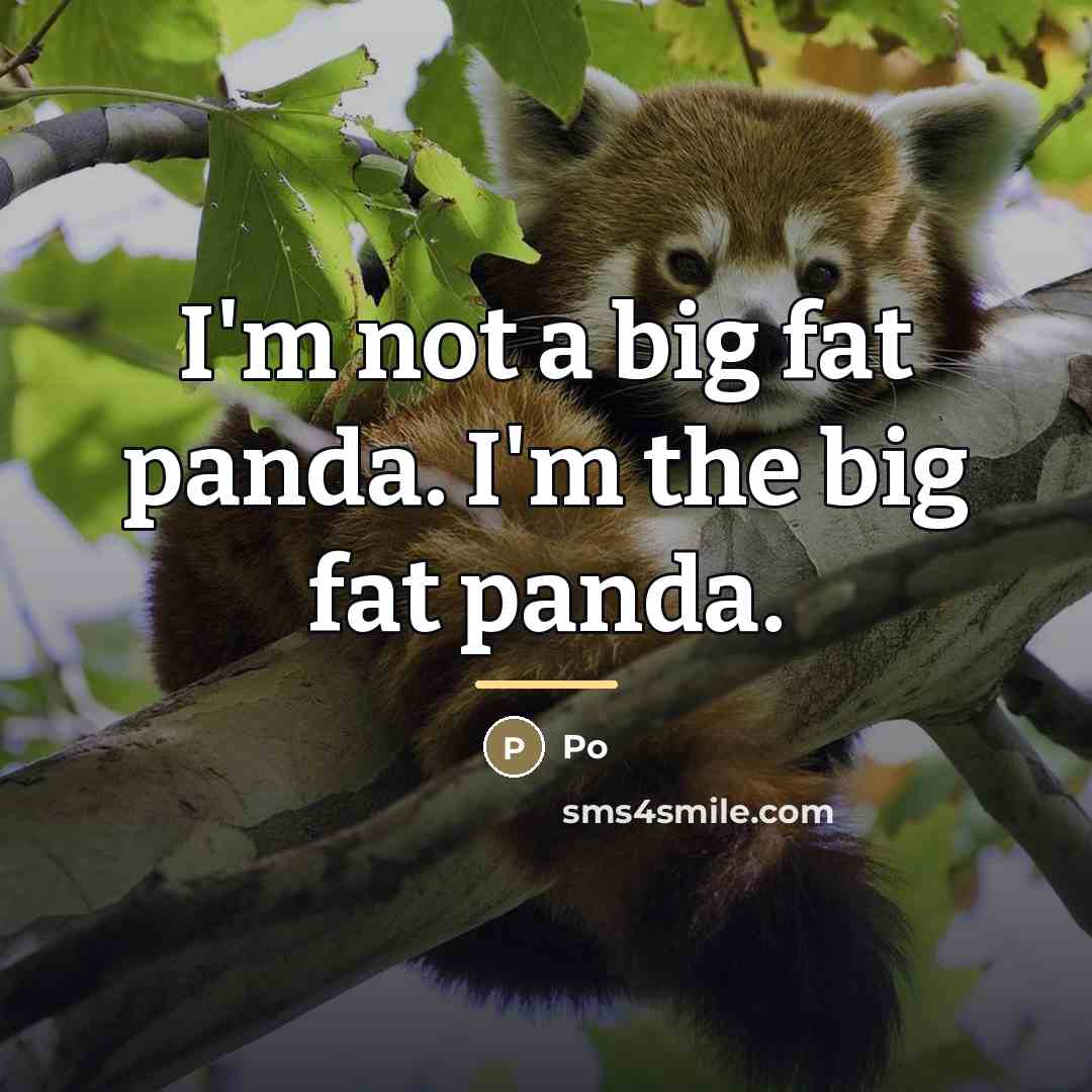 “I'm not a big fat panda. I'm the big fat…” quote by Po