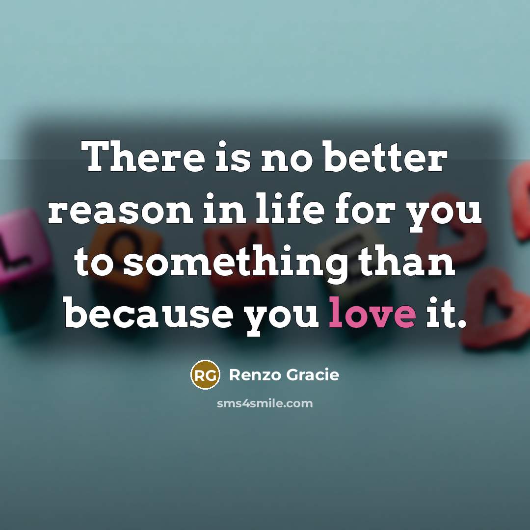 “There is no better reason in life for you to…” quote by Renzo Gracie