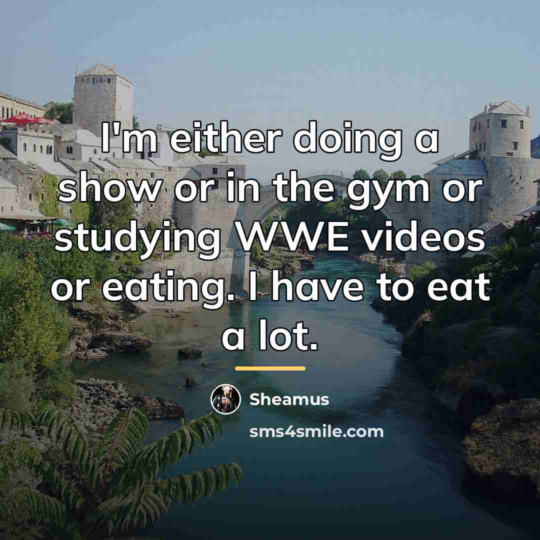 “I'm either doing a show or in the gym or…” quote by Sheamus