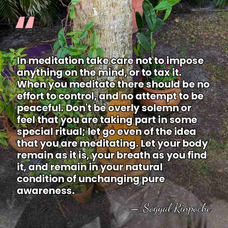 In meditation take care not to impose anything on the mind, or&hellip; - Sogyal Rinpoche