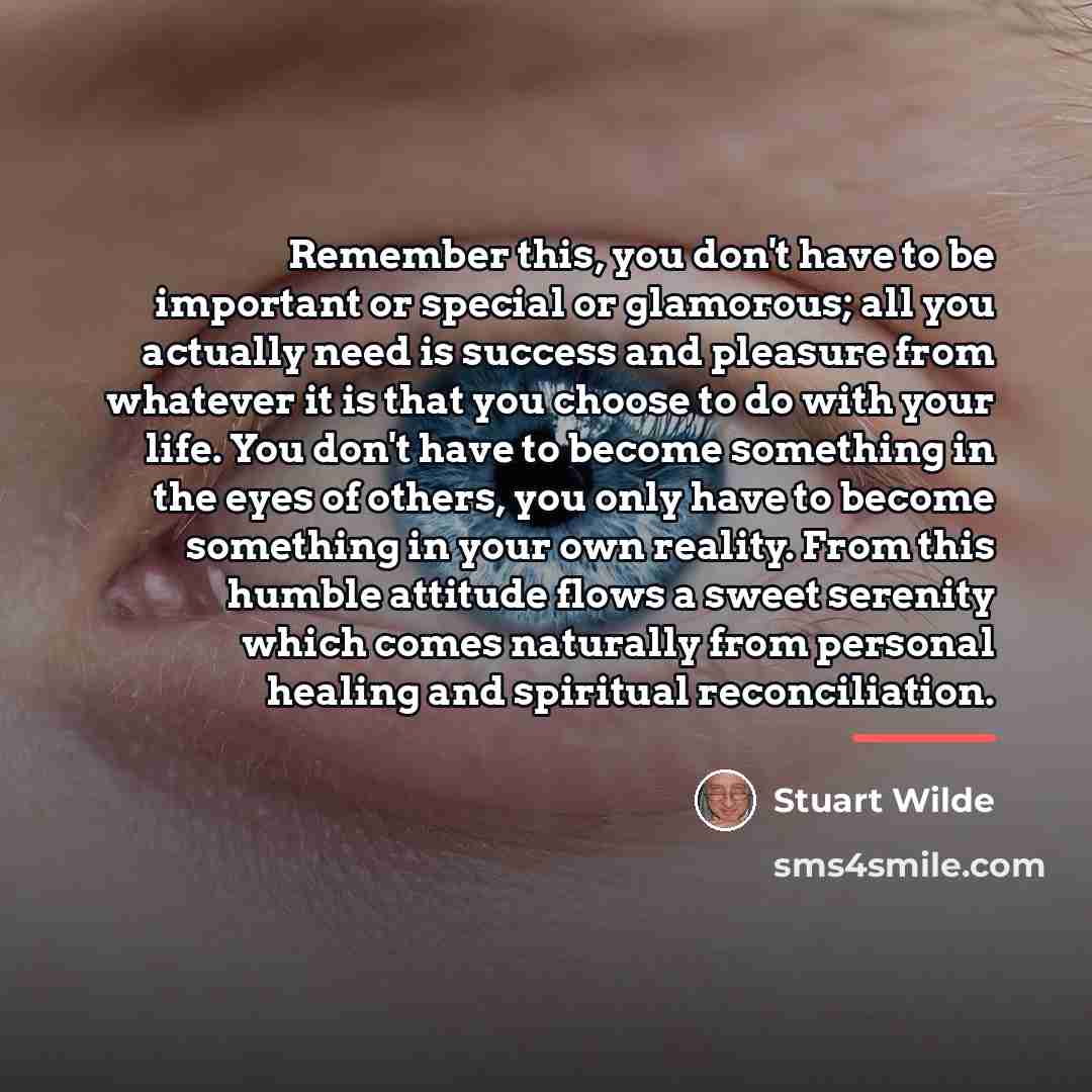 “Remember this, you don't have to be important or special…” quote by Stuart Wilde