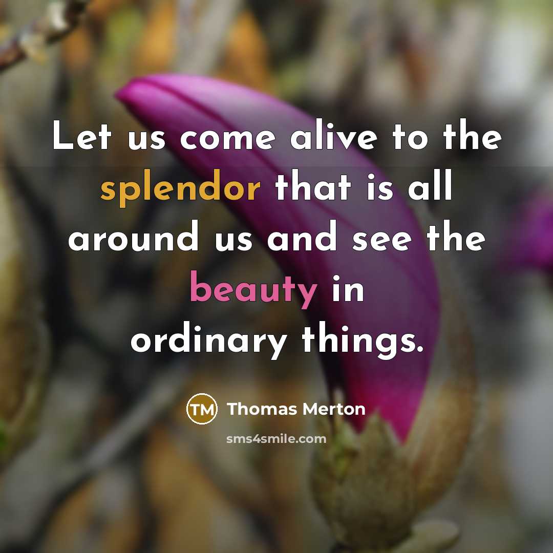 “Let us come alive to the splendor that is all…” quote by Thomas Merton