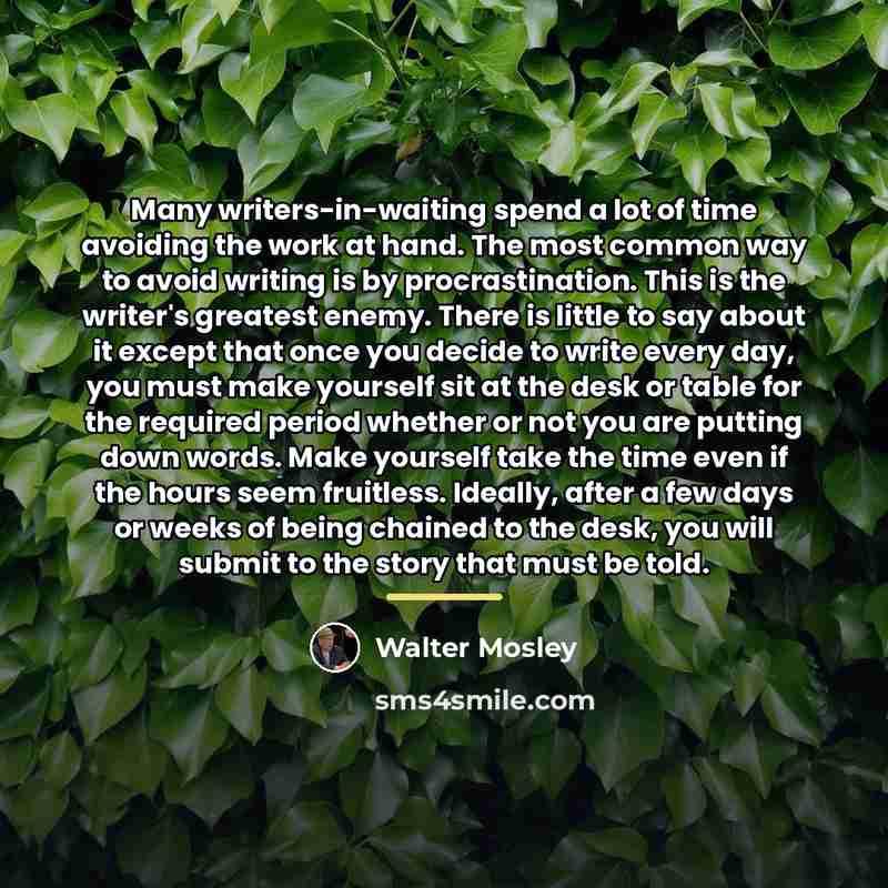 “Many writers-in-waiting spend a lot of time avoiding the work…” quote by Walter Mosley