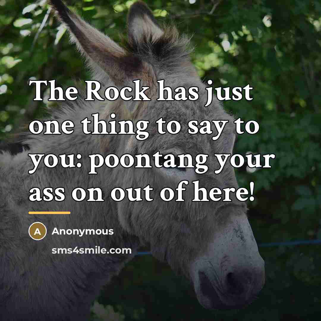 “The Rock has just one thing to say to you:…” quote by Anonymous