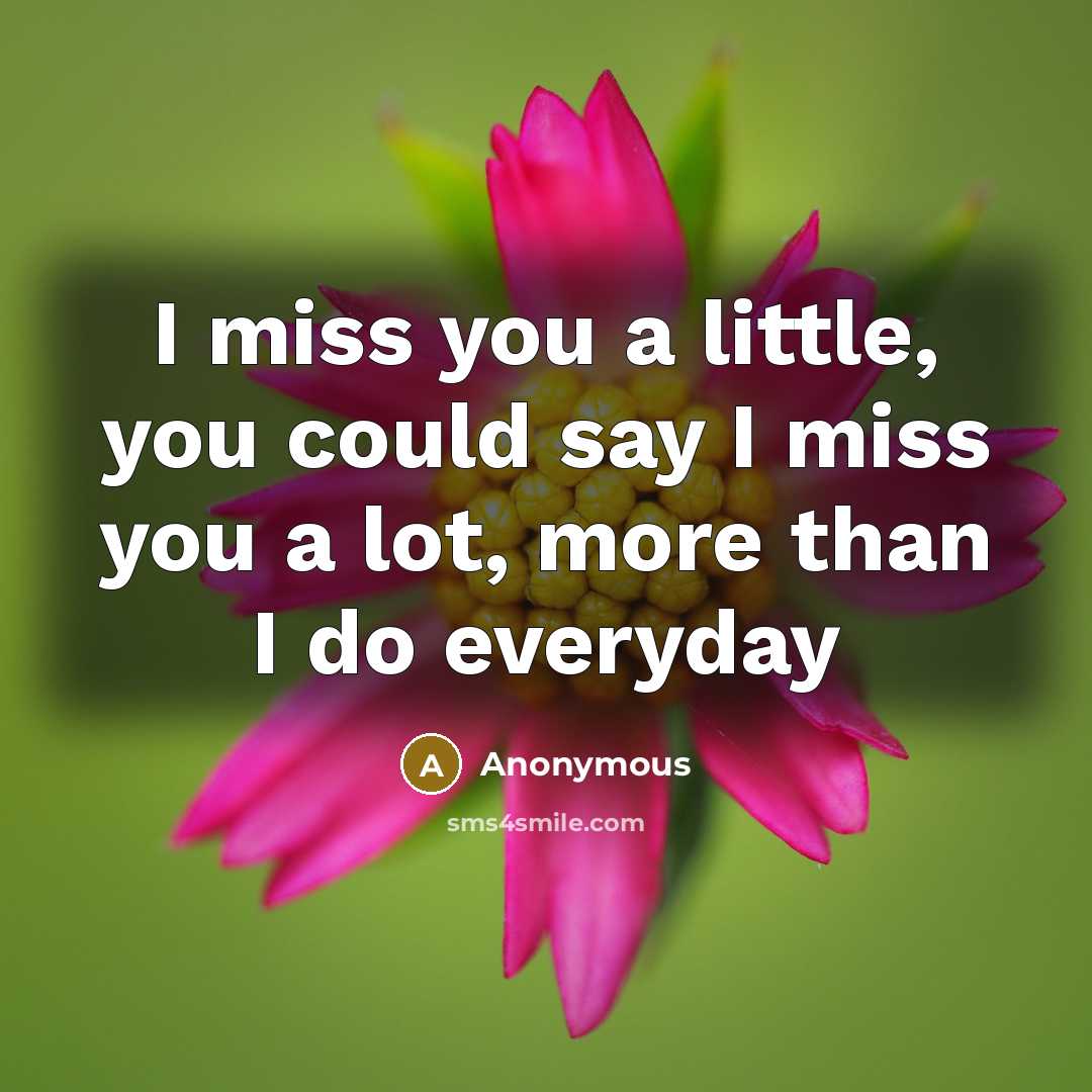 “I miss you a little, you could say I miss you a lot, more than I do everyday” quote by Anonymous
