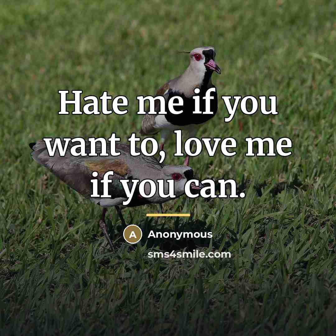 “Hate me if you want to, love me if you…” quote by Anonymous