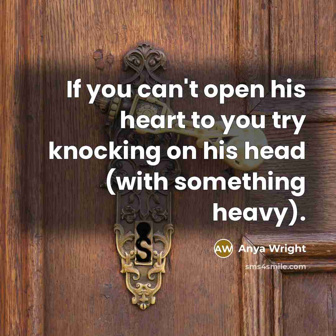 “If you can't open his heart to you try knocking on his head (with something heavy).” quote by Anya Wright