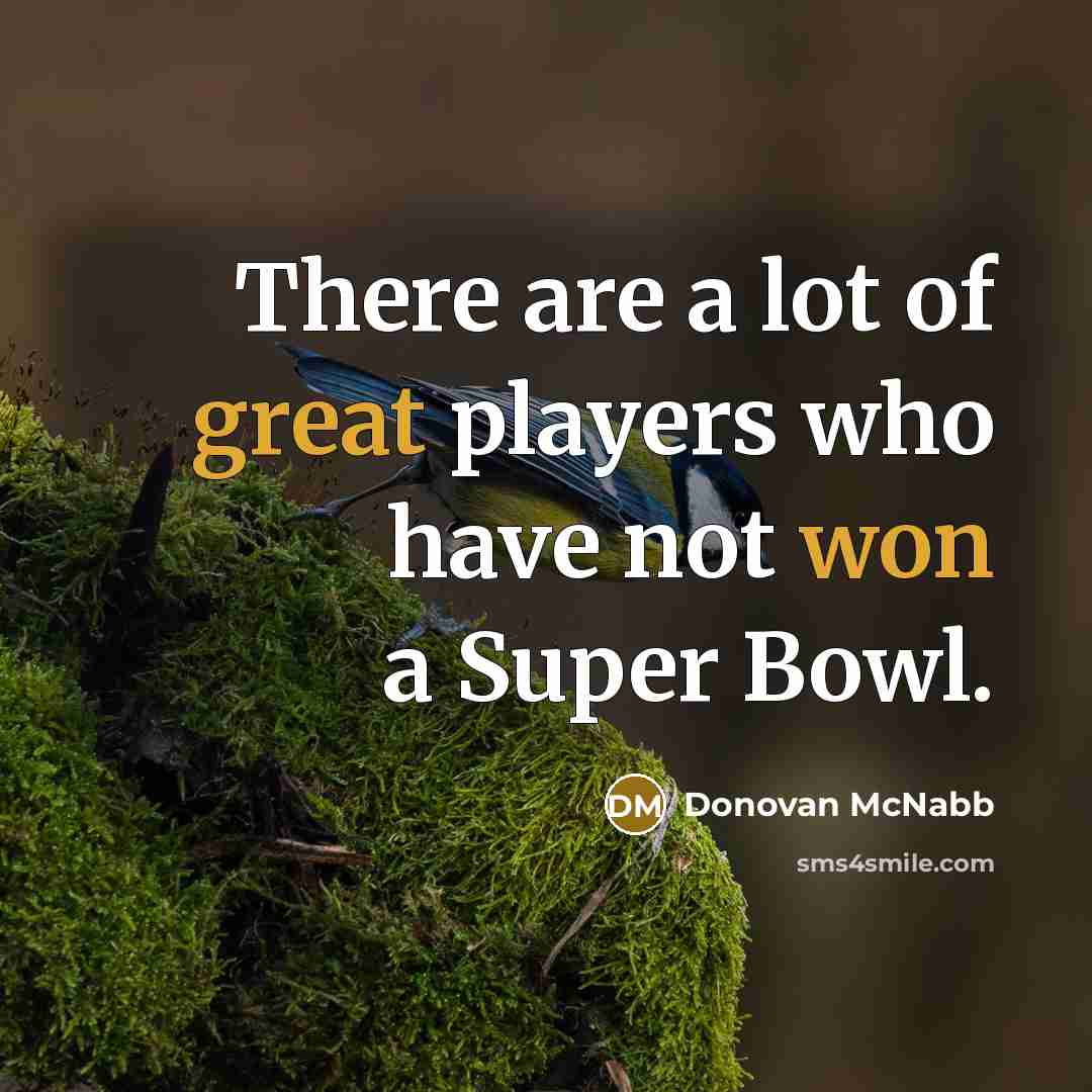 “There are a lot of great players who have not…” quote by Donovan McNabb