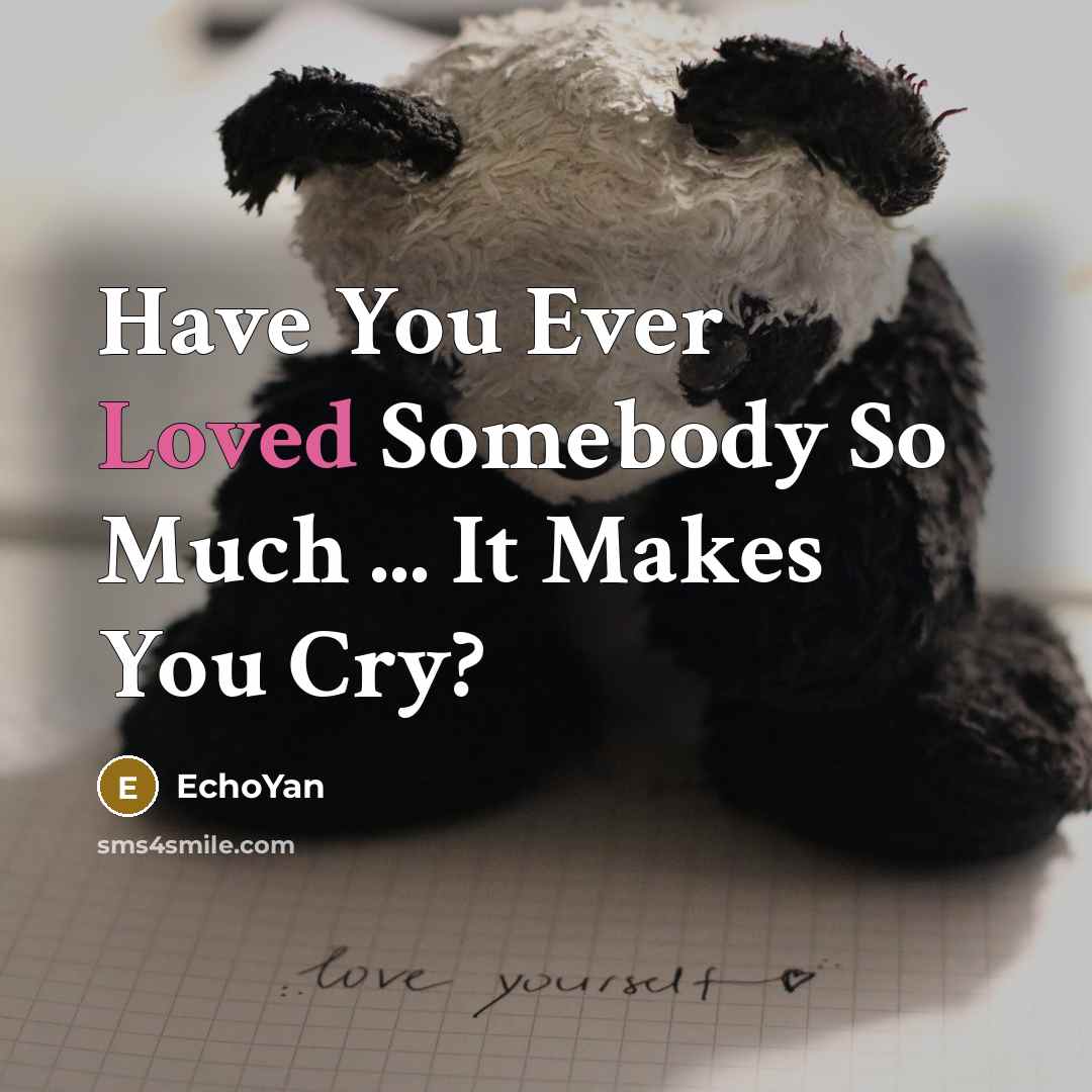 “Have You Ever Loved Somebody So Much ... It Makes…” quote by EchoYan