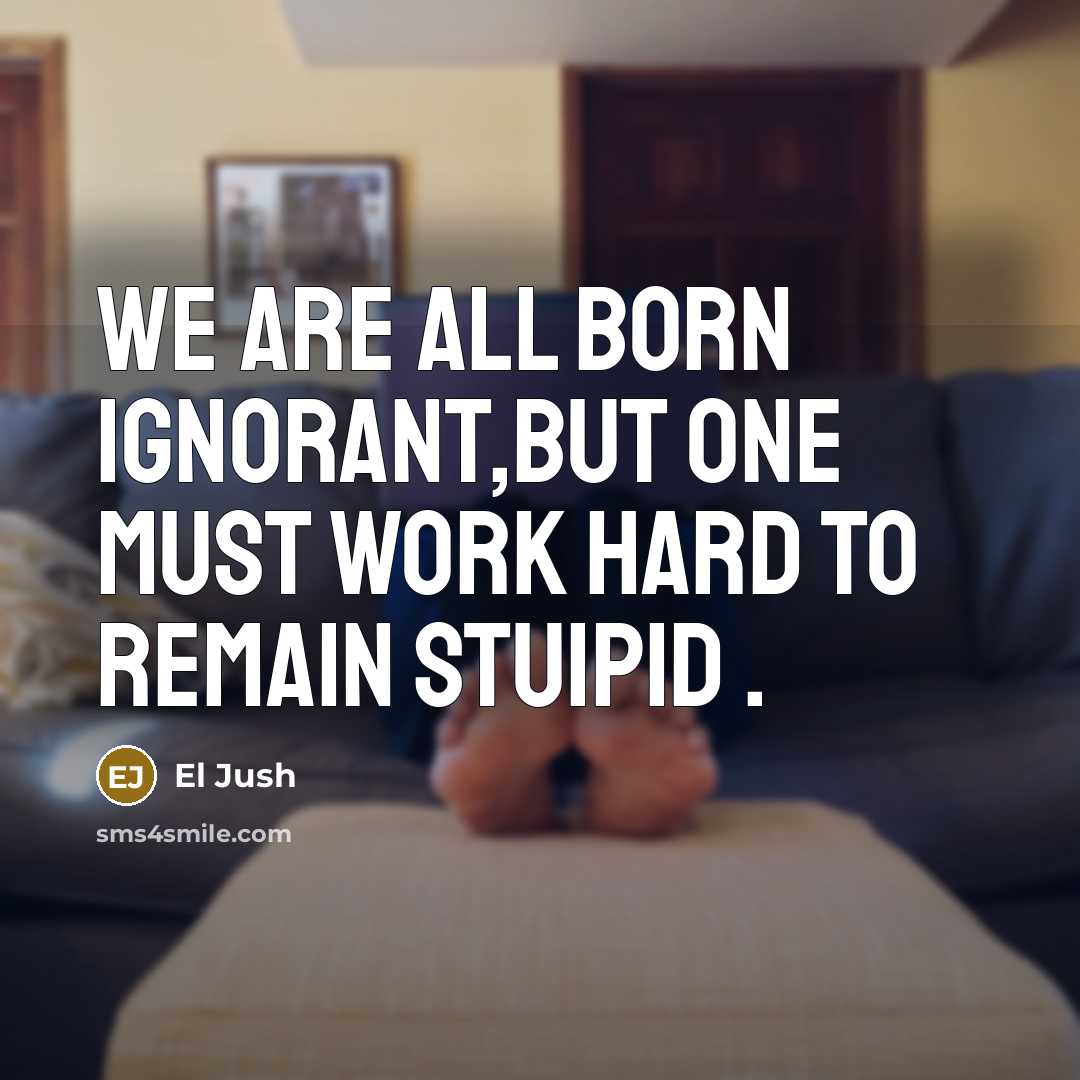 “We are all born ignorant,but one must work hard to remain stuipid .” quote by El Jush
