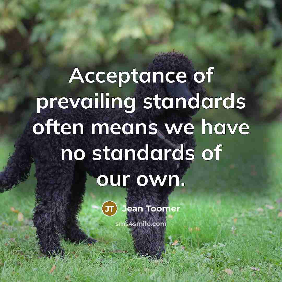 “Acceptance of prevailing standards often means we have no standards…” quote by Jean Toomer