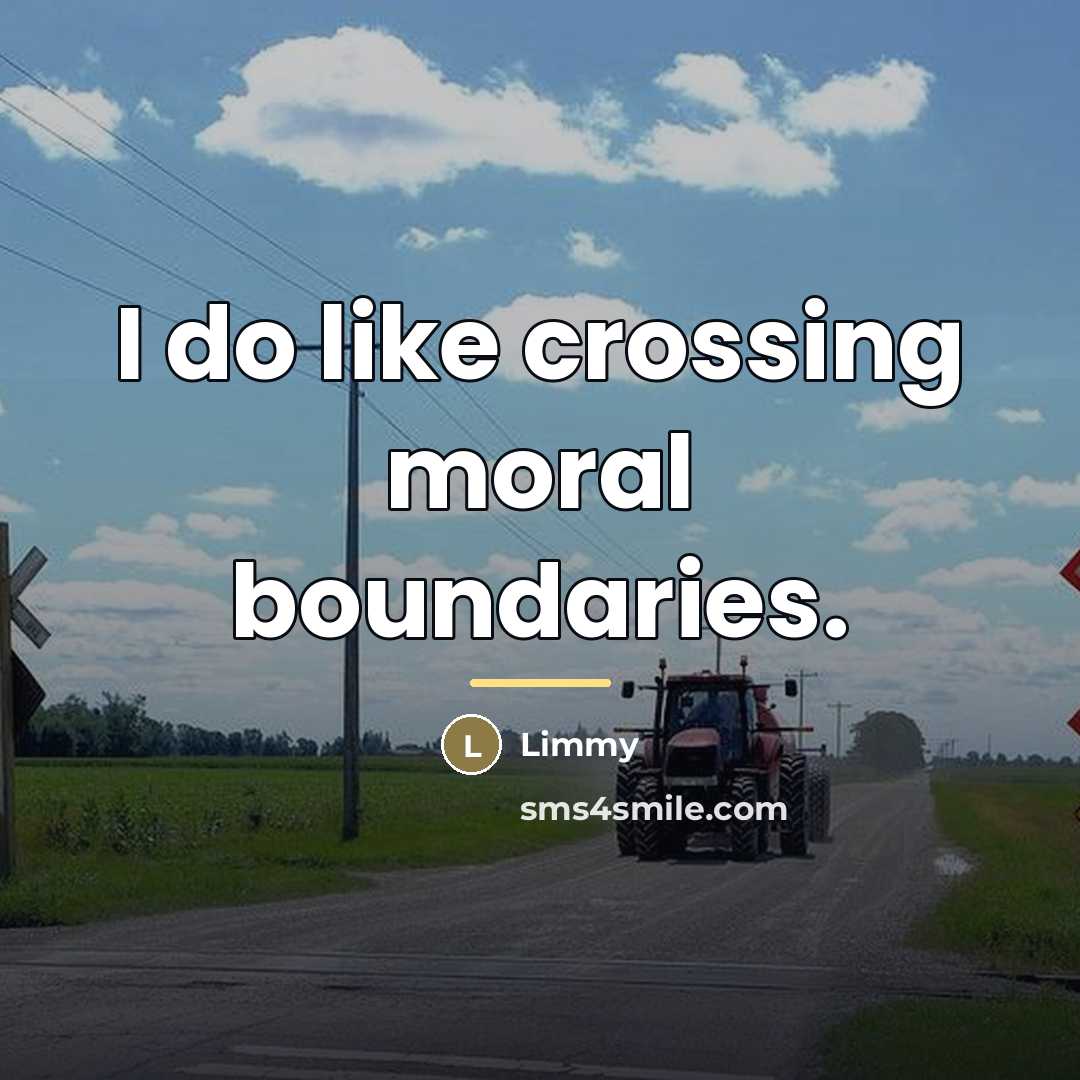 “I do like crossing moral boundaries.…” quote by Limmy