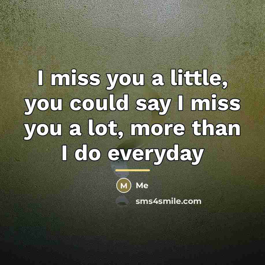 “I miss you a little, you could say I miss…” quote by Me