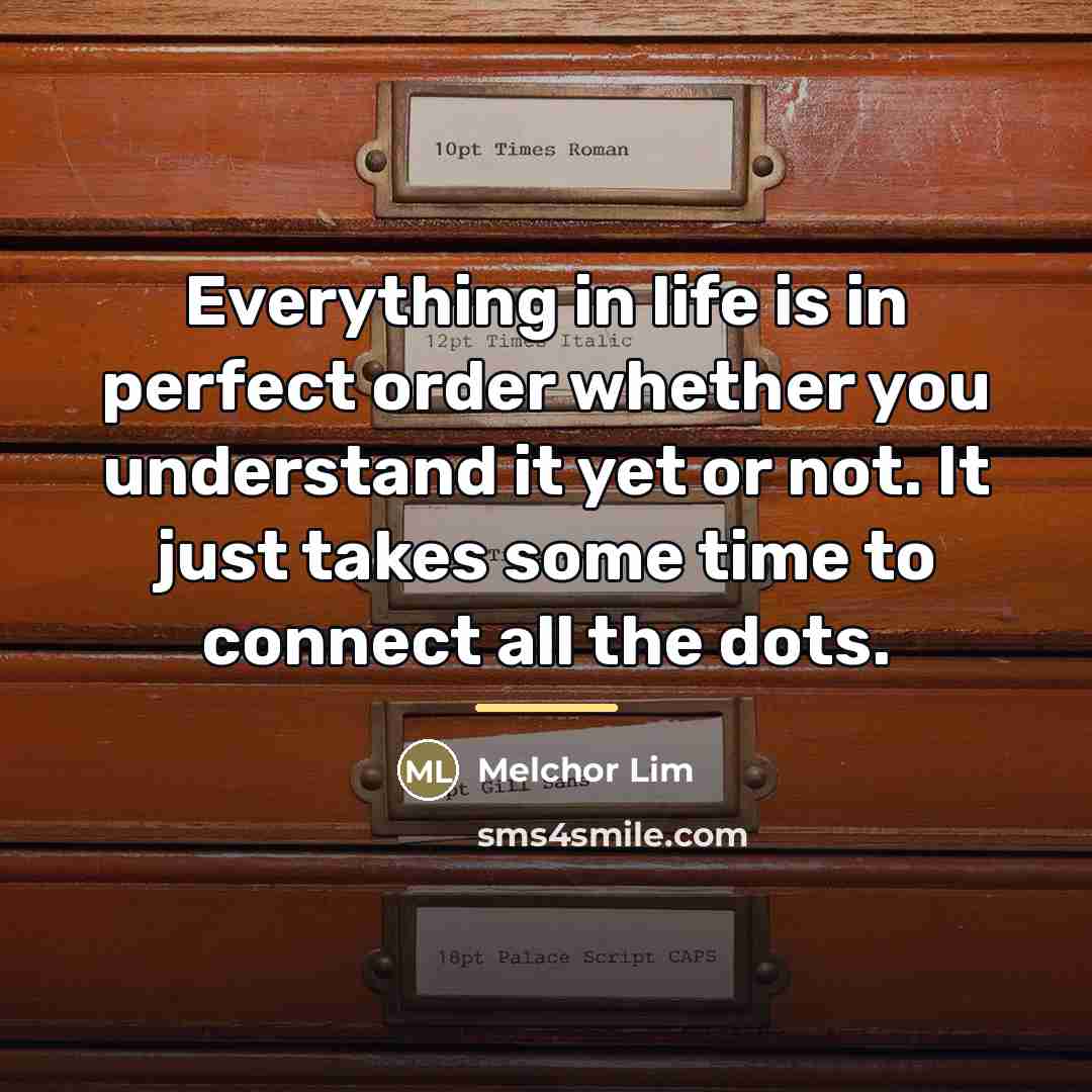 “Everything in life is in perfect order whether you understand…” quote by Melchor Lim