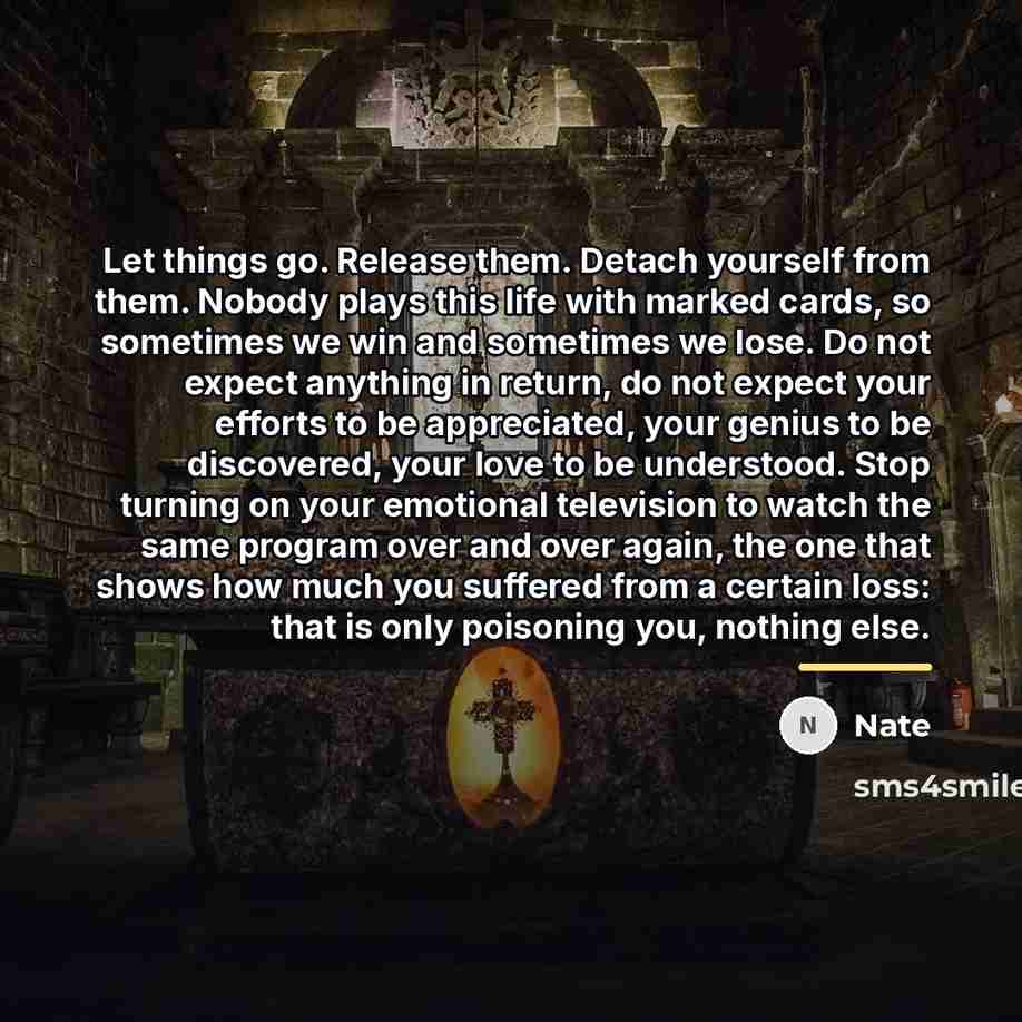 “Let things go. Release them. Detach yourself from them. Nobody…” quote by Nate