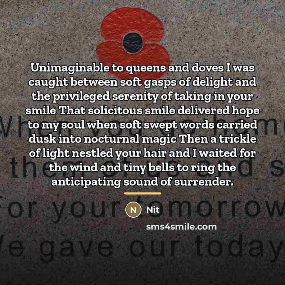 “Unimaginable to queens and doves I was caught between soft…” quote by Nit