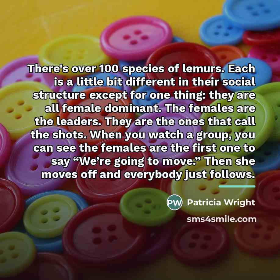 “There's over 100 species of lemurs. Each is a little…” quote by Patricia Wright