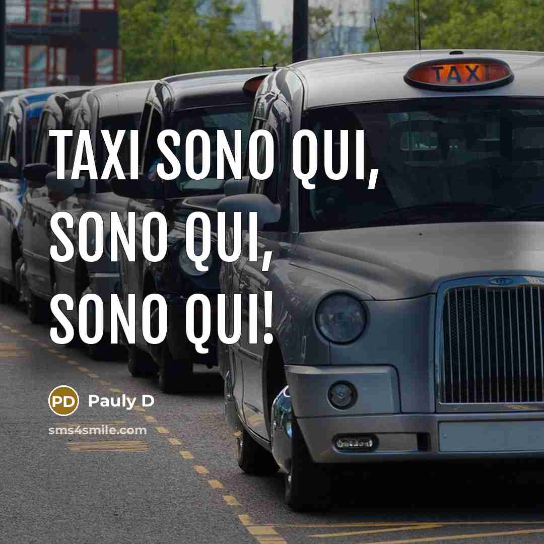 “TAXI SONO QUI, SONO QUI, SONO QUI!…” quote by Pauly D