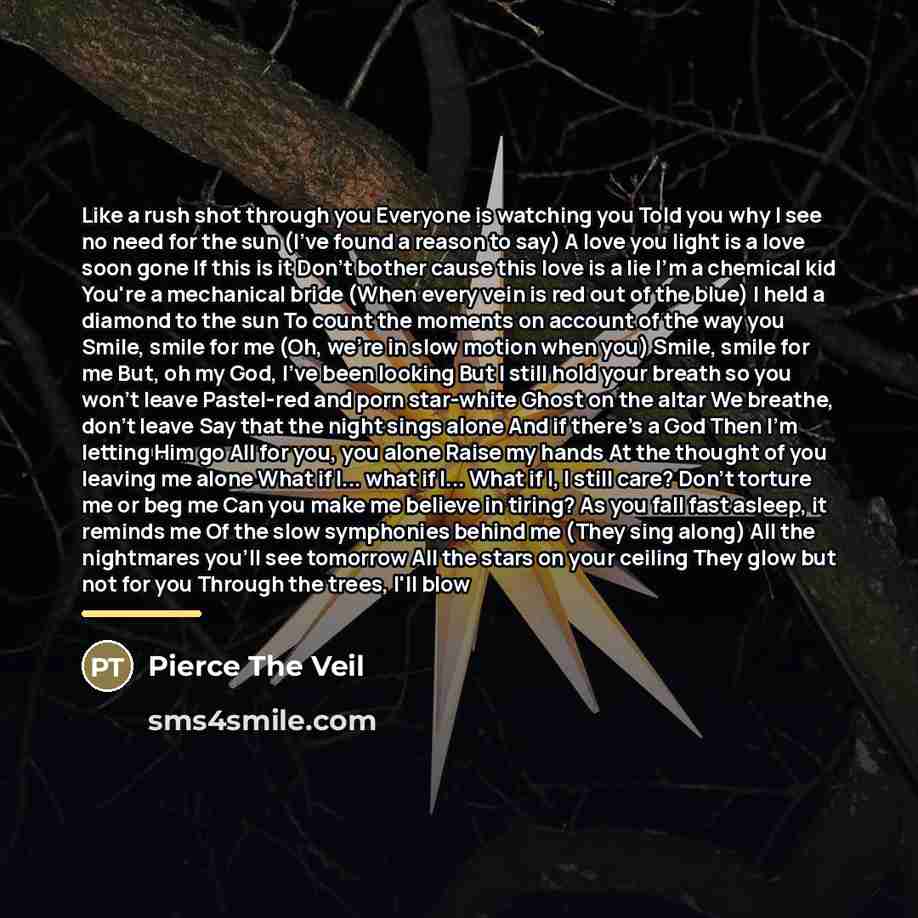 “Like a rush shot through you Everyone is watching you…” quote by PIerce The Veil
