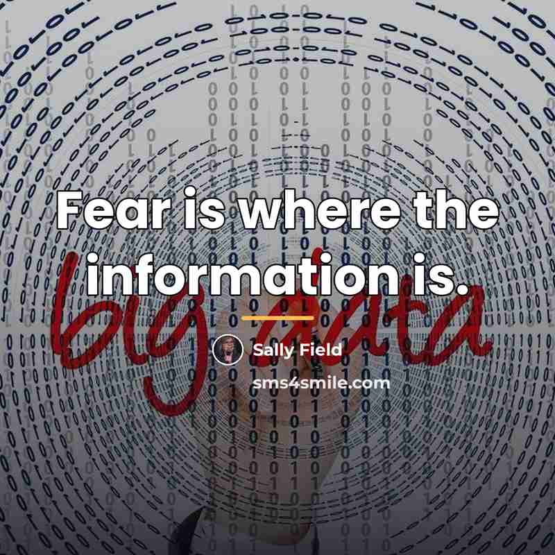“Fear is where the information is.…” quote by Sally Field