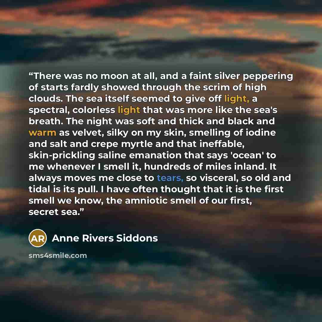“There was no moon at all, and a faint silver peppering of starts fardly showed through the scrim of high clouds. The sea itself seemed to give off light, a spectral, colorless light that was more like the sea's breath. The night was soft and thick and black and warm as velvet, silky on my skin…” quote by Anne Rivers Siddons