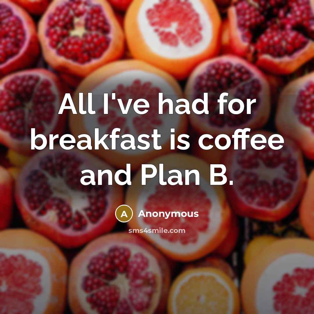 “All I've had for breakfast is coffee and Plan B.” quote by Anonymous