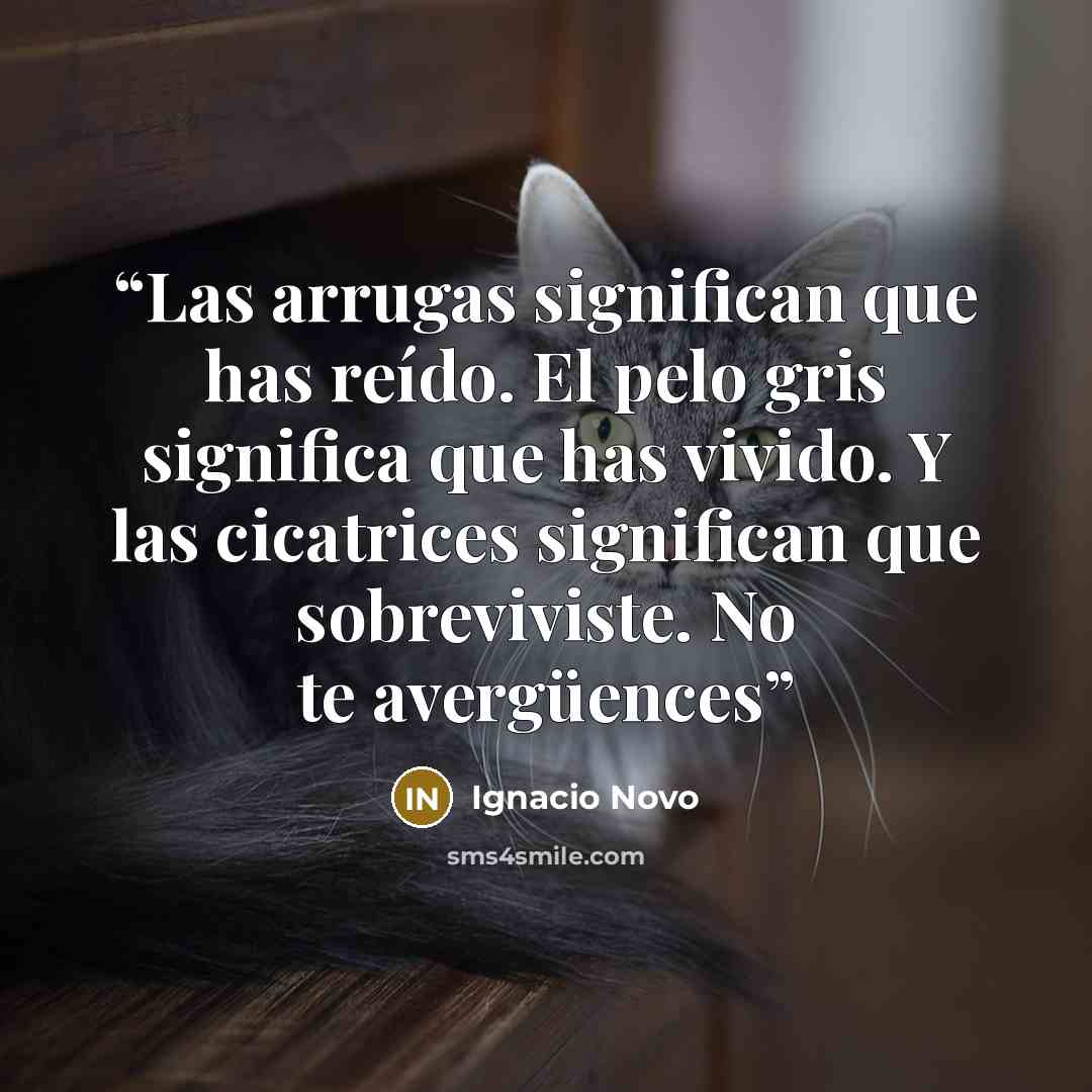 “Las arrugas significan que has reído. El pelo gris significa que has vivido. Y las cicatrices significan que sobreviviste. No te avergüences” quote by Ignacio Novo