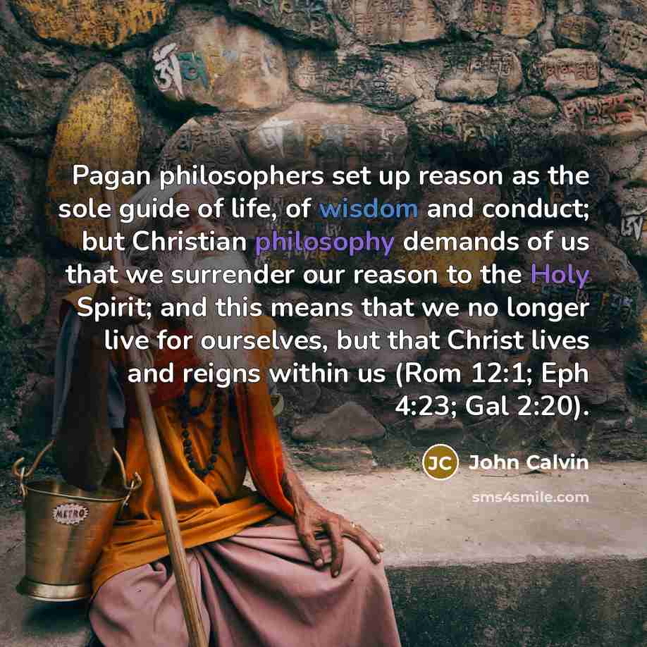 “Pagan philosophers set up reason as the sole guide of…” quote by John Calvin