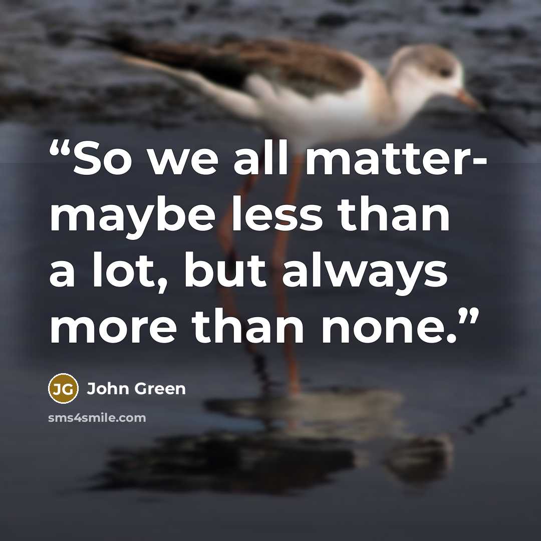 “So we all matter- maybe less than a lot, but always more than none.” quote by John Green