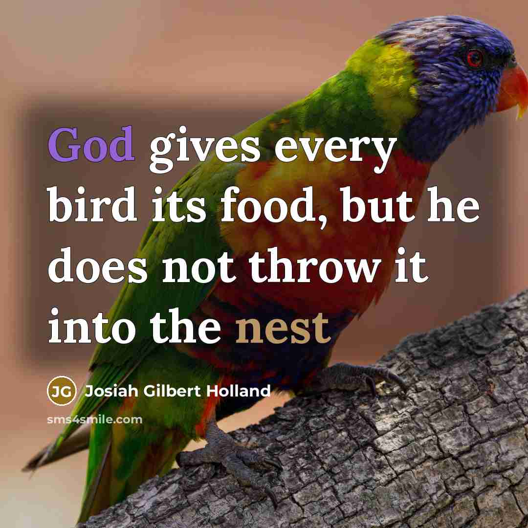 “God gives every bird its food, but he does not throw it into the nest” quote by Josiah Gilbert Holland