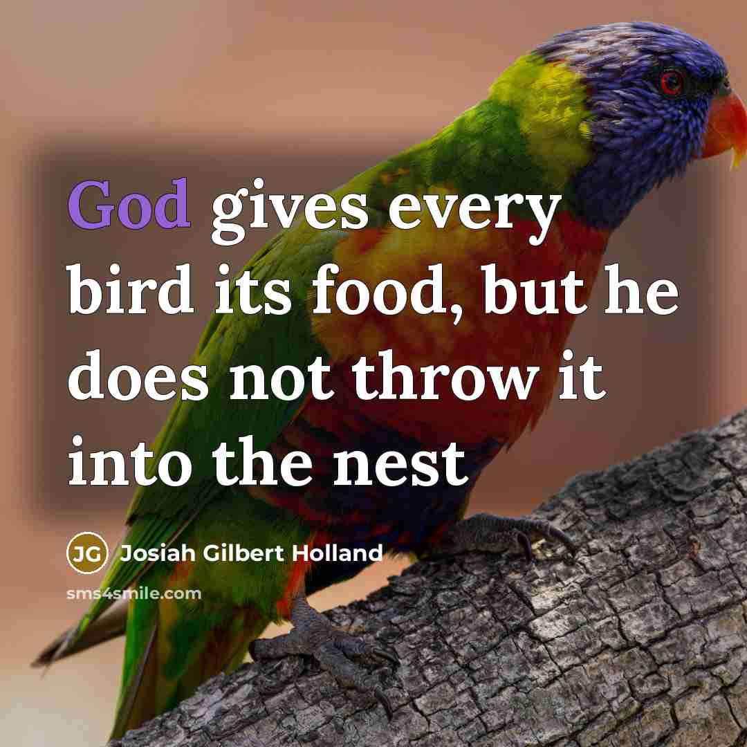 “God gives every bird its food, but he does not…” quote by Josiah Gilbert Holland