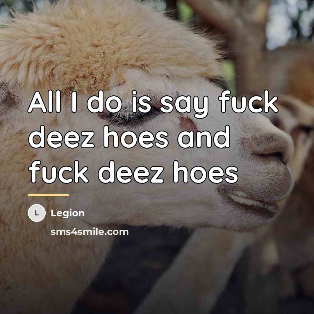 “All I do is say fuck deez hoes and fuck…” quote by Legion