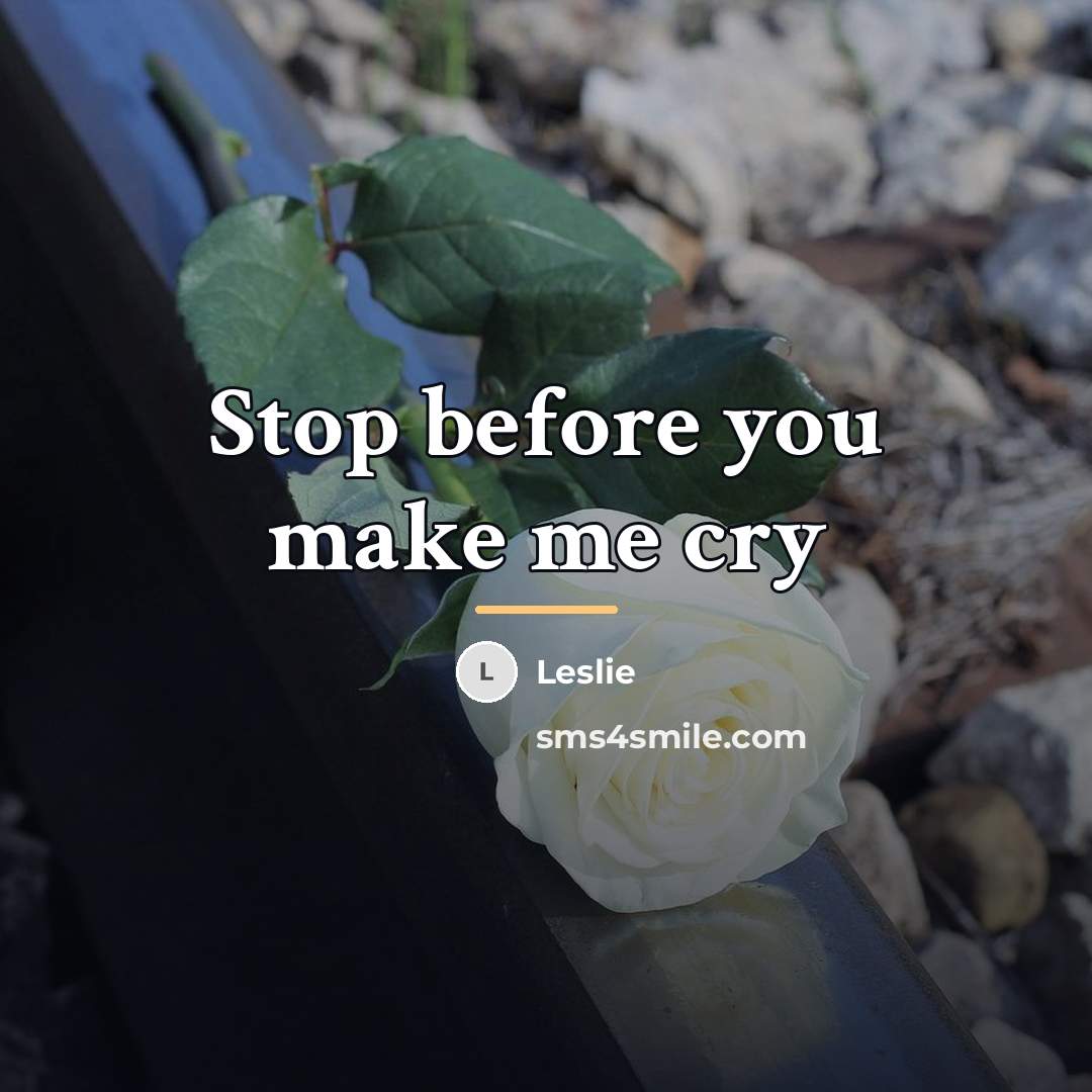 “Stop before you make me cry…” quote by Leslie