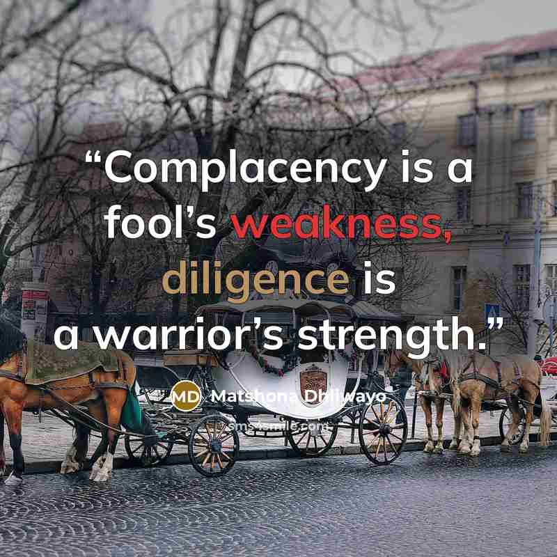 “Complacency is a fool’s weakness, diligence is a warrior’s strength.” quote by Matshona Dhliwayo