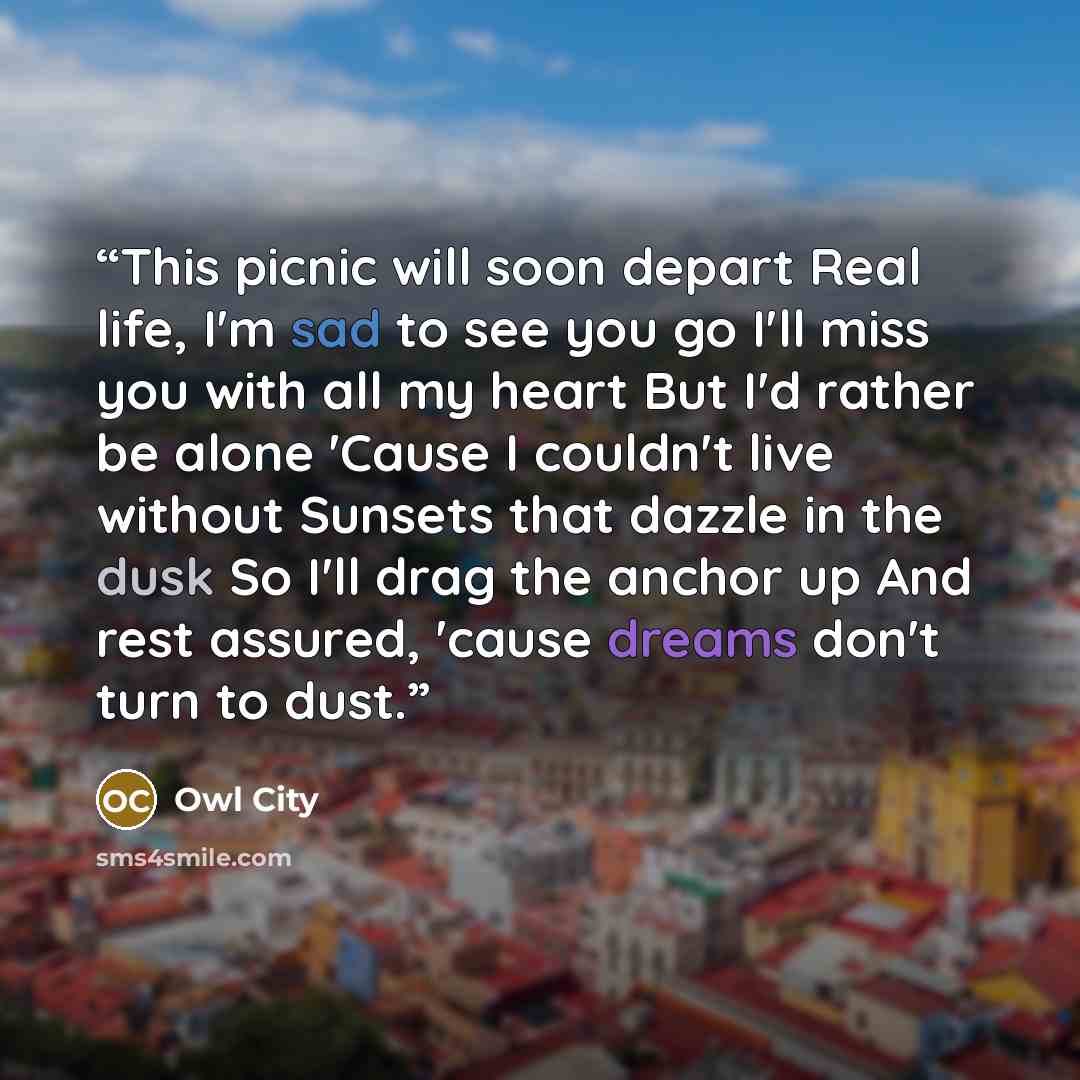 “This picnic will soon depart Real life, I'm sad to see you go I'll miss you with all my heart But I'd rather be alone 'Cause I couldn't live without Sunsets that dazzle in the dusk So I'll drag the anchor up And rest assured, 'cause dreams don't turn to dust.” quote by Owl City