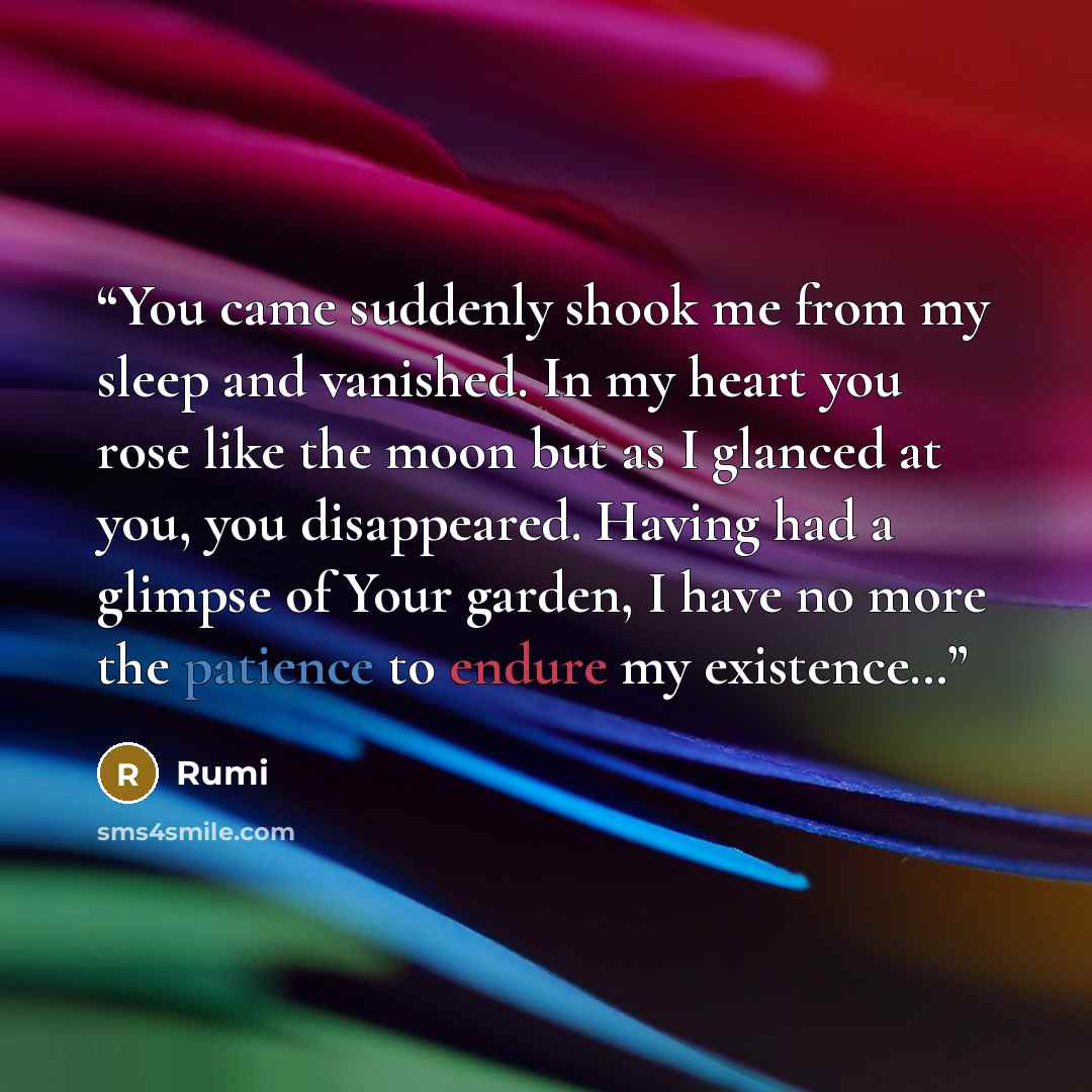 “You came suddenly shook me from my sleep and vanished. In my heart you rose like the moon but as I glanced at you, you disappeared. Having had a glimpse of Your garden, I have no more the patience to endure my existence…” quote by Rumi