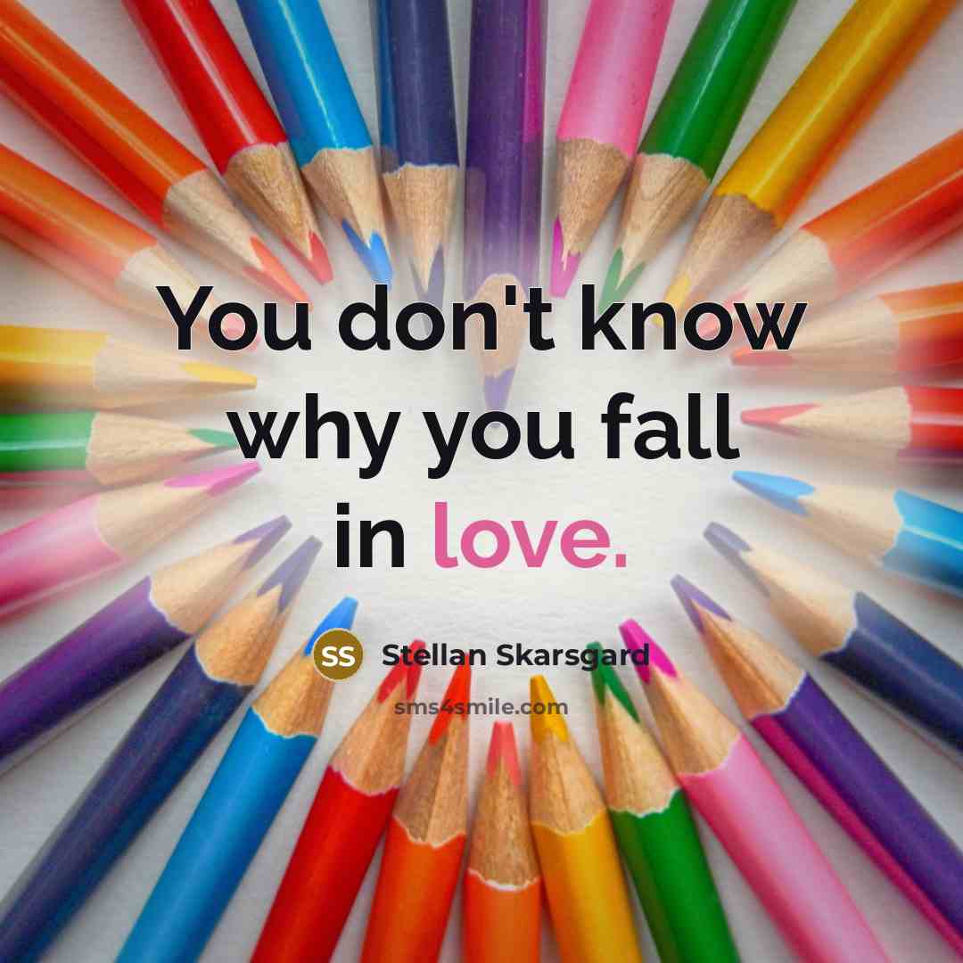 “You don't know why you fall in love.…” quote by Stellan Skarsgard