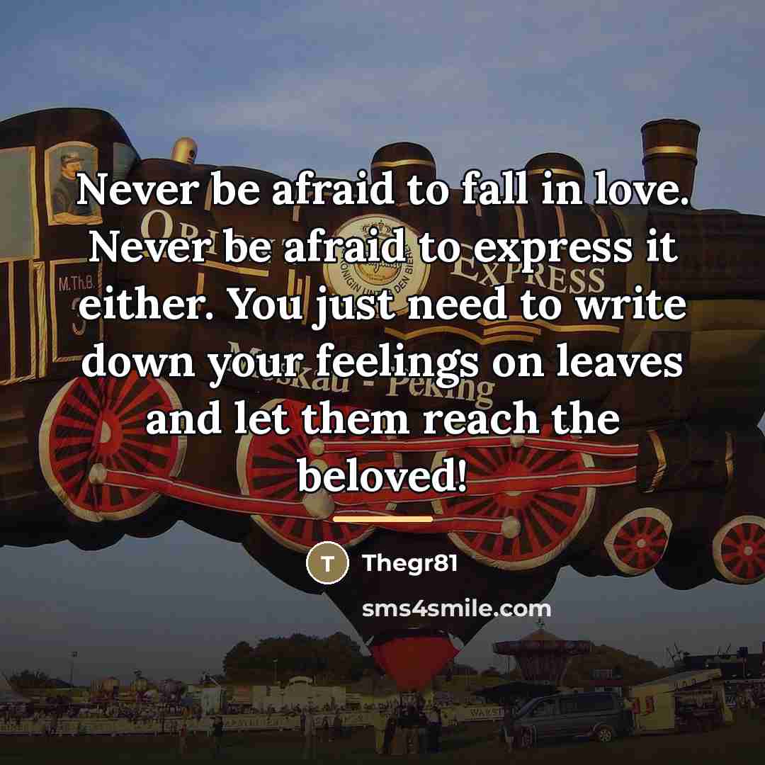 “Never be afraid to fall in love. Never be afraid…” quote by Thegr81