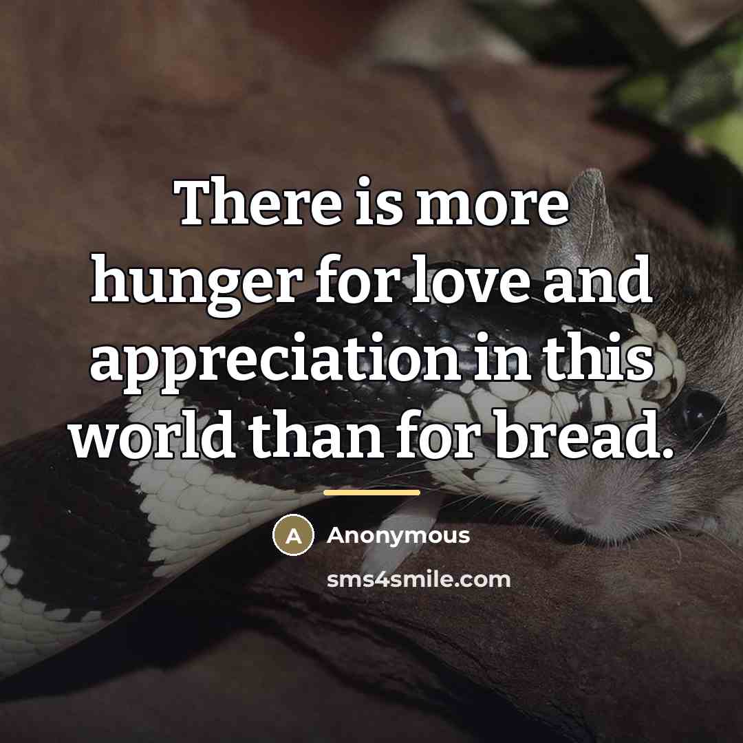 “There is more hunger for love and appreciation in this…” quote by Anonymous